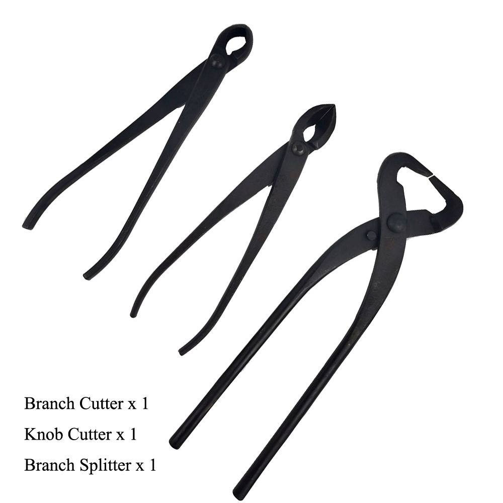 Juego de Herramientas para bonsái, Kit de tijeras de corte extensivo para poda de jardín, herramientas de estilismo para bonsái, 2/3/4/5/6 piezas: Verde