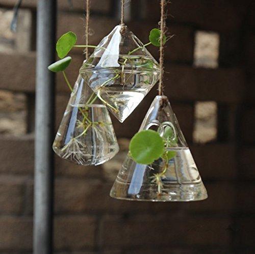 3 Pcs Home Decor Glass Hanging Planters Glass Planters Glass Terrariums Flower Pots