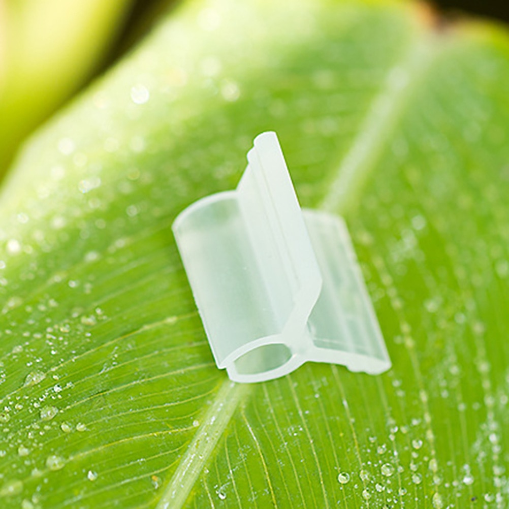 Clips de fijación de calibre para plantas, 2/3/4/5mm, para verduras, tomate, vid, tallos, soporte para cultivo, 200 Uds.