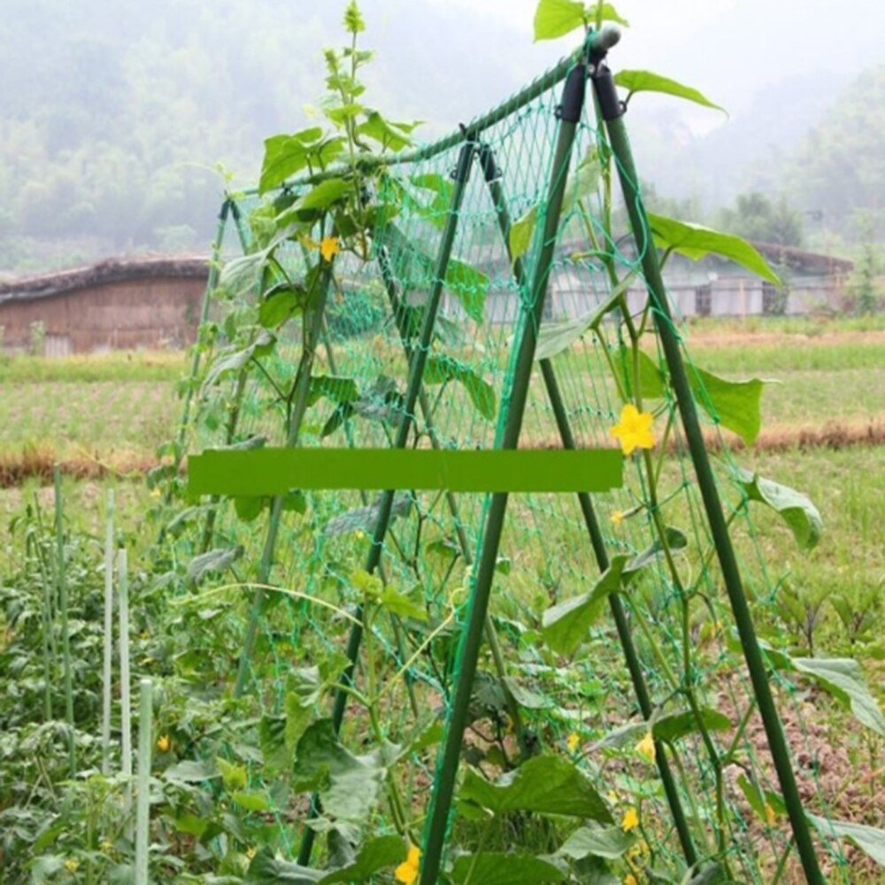 Trellis Plant Support Mesh Net Fence Tent Climbing Veggie Pea Bean Fruit Garden