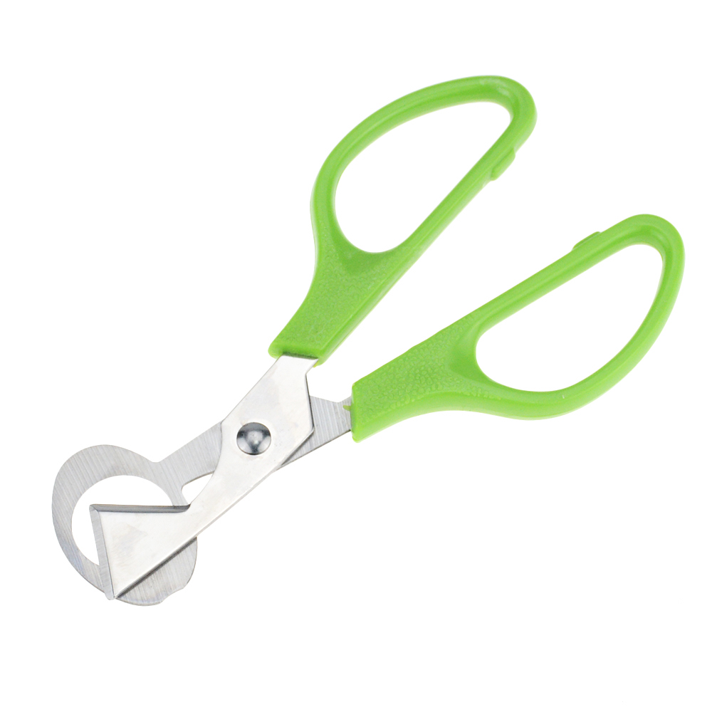 Coupe-œufs à caille, Pigeon ciseaux, coupe-œufs, ouvre-œufs, coupe-œufs, outil de ménage, accessoires Gadgets 1 pièce
