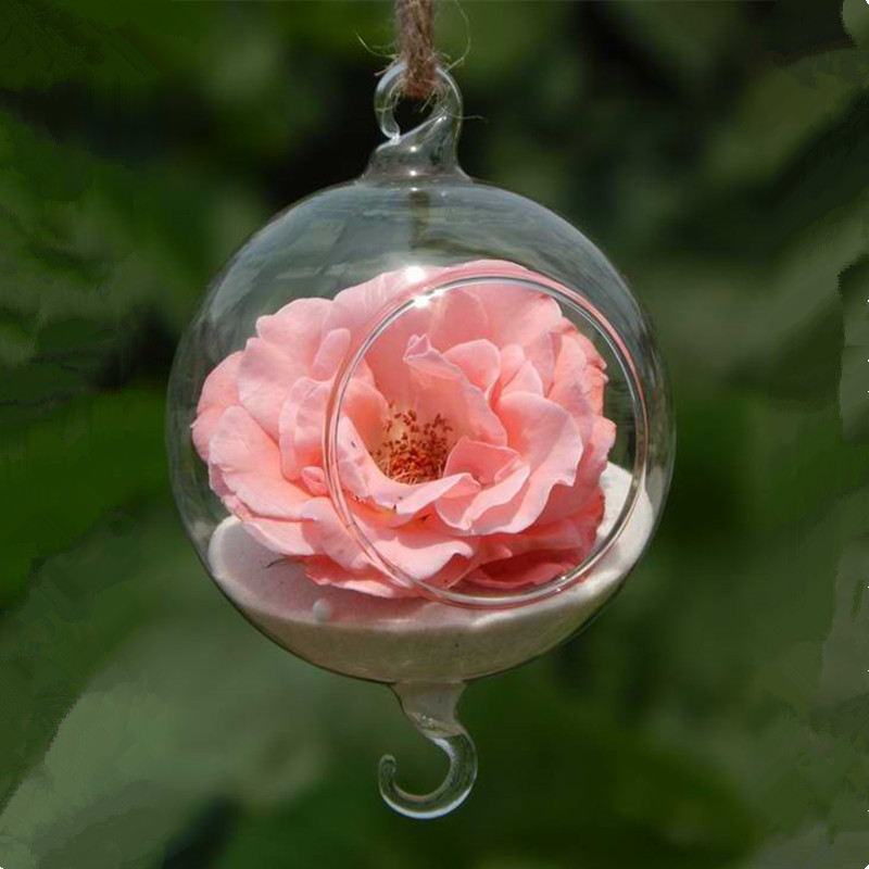 Diameter=15cm Double Hock Glass Globe Vase Glass T... – Grandado