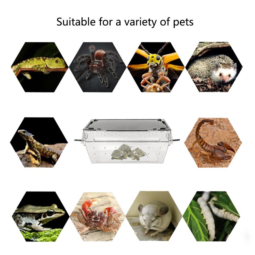 1 caja antideslizante para terrario para reptiles, caja de vivienda con forma de serpiente, Araña, lagarto, escorpión, Rana con cuernos, caja para cría de Gecko