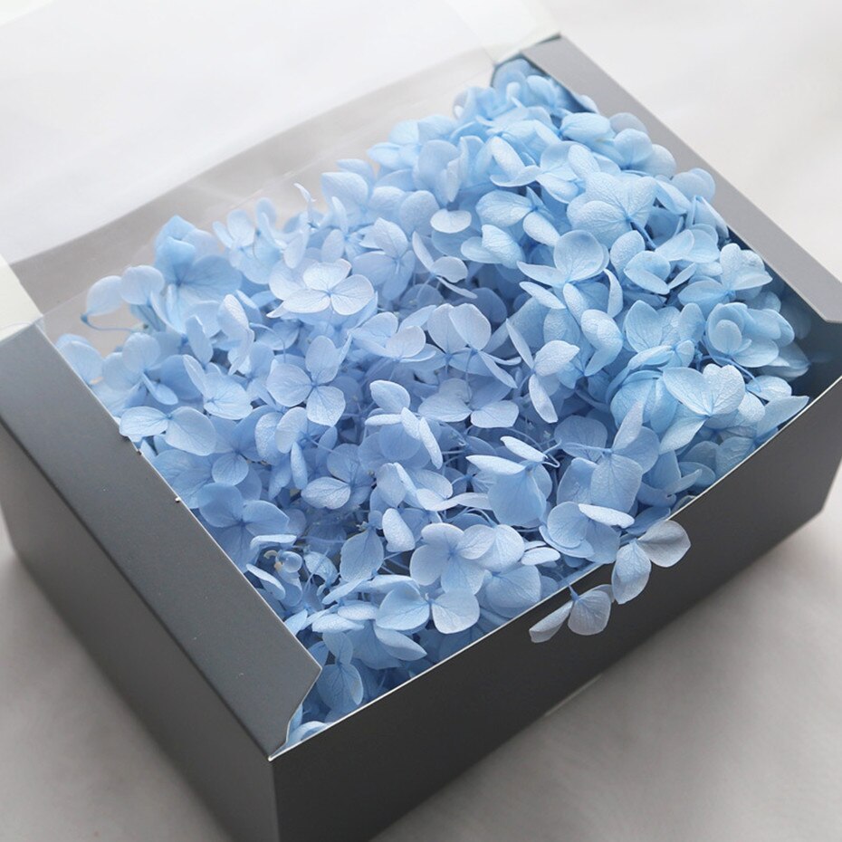 20g naturlige frisk hortensia tørket blomsterhode gjør-det-selv ekte evigblomstmateriale langtidskonservering falmer ikke: 8