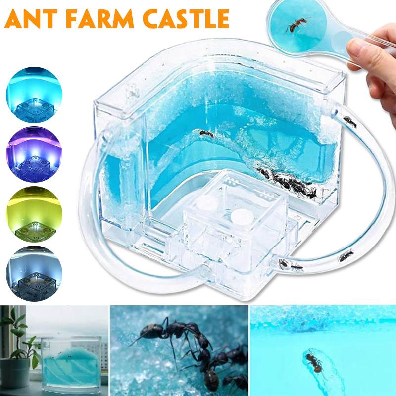 USB Colorful Insect Feeding Box with LED Light Ant Farm Ant House Castle Insect Box Ecological Toy Education Model