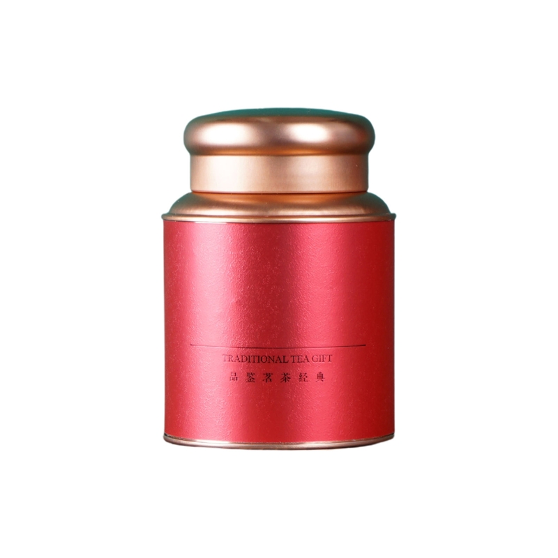Boîte à thé mignon en fer blanc, petit récipient de stockage artisanal pour thé en vrac hermétique bonbons chocolat sucre épices GXMA