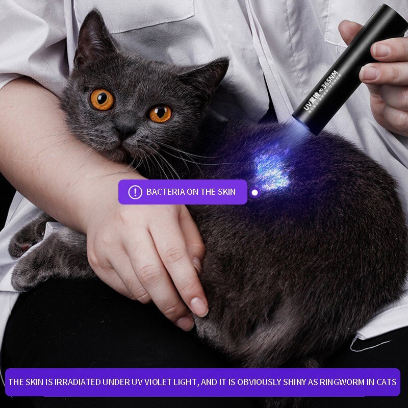 Uv-identificatie zaklamp huisdier kat ringworm katten schimmel led uv testlamp zaklamp ultraviolet fluorescerend middel testlamp