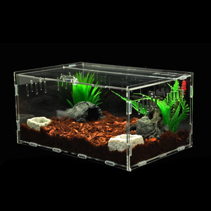 Insect Breeding Box Acrylic 360 ° Transparent Pet Reptile Box Reptile Terrarium U90A