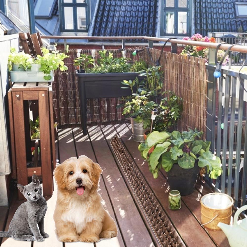 5PCS/Set Harmless Plastic Defender Bird Spike Wild Cat Fence Spikes Yard Proof Bird Spikes Fence For Anti-Climbing Security