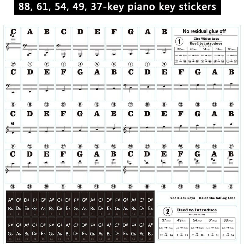 49/54/61/88 color Transparent Piano Keyboard Stickers Electronic Keyboard Key Piano Stave Note Sticker Symbol for White Keys: B