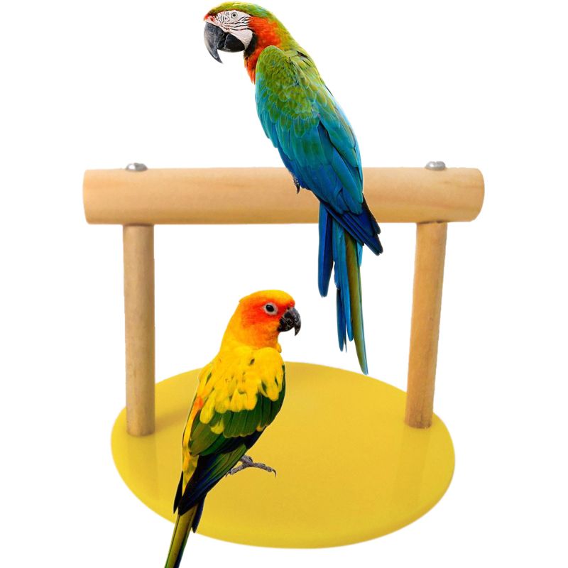 Parrot Wooden Tabletop Perch with Acrylic Base Bird Standing Exercising Grinding Desktop Perch