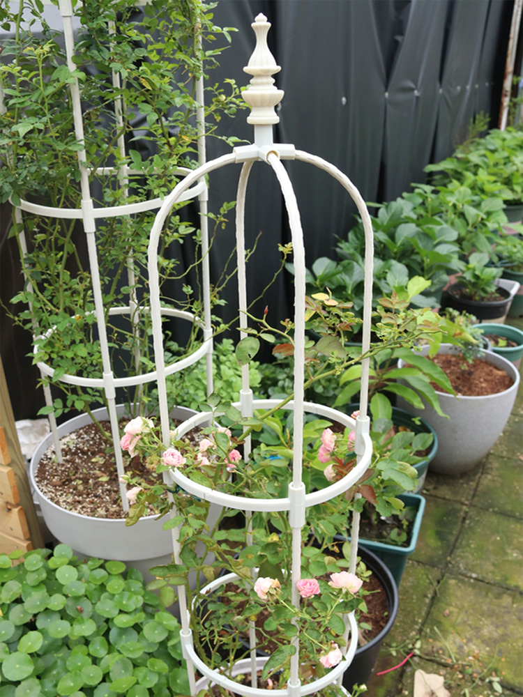 Metal Plant Climbing Frame, Outdoor Flower Stand, Trellis DIY, Tomato Vegetable Vines Plants Potted Support, Home Garden Decor