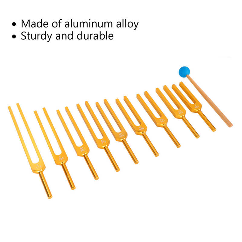 Tuning Fork Set Resonant Tuning Fork Edge with Hammer for Clinical Use