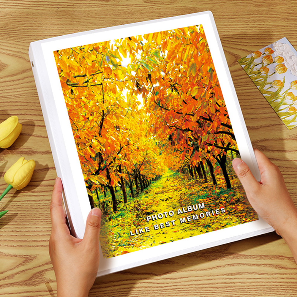 Loose-leaf Photo Album Large Capacity 30/40 Pages DIY Self Adhesive Commemorative Photo Storage Scrapbook Family Memory Book: green