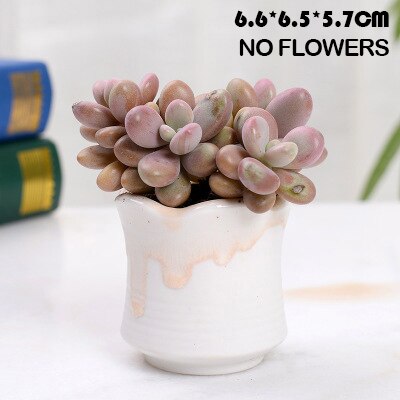 Huisdecoratie miniatuur model bloempotten glazuur asymmetrie bloemenvaas bureaudecoratie ornamenten beeldjes keramische pot: F