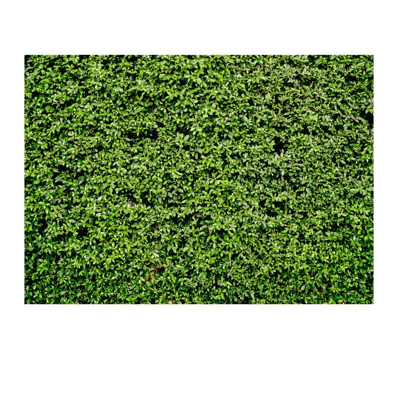 3D Bloemen Achtergrond Bruiloft Bloemen Rozen Foto Doek Studio Schieten Gebruik Scène Fotografische Achtergrond Party Decoratie 125*80Cm: G