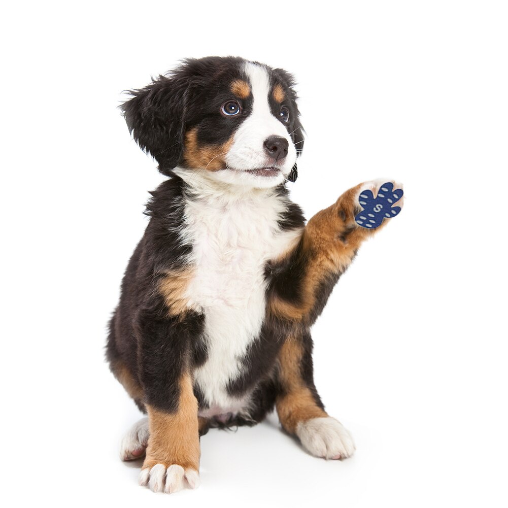 4pcs Waterproof Paw Protectors for Dogs Anti-slip Puppy Dustproof Thickened Paw Foot Patch Shoes Pads Sticker Pet Products