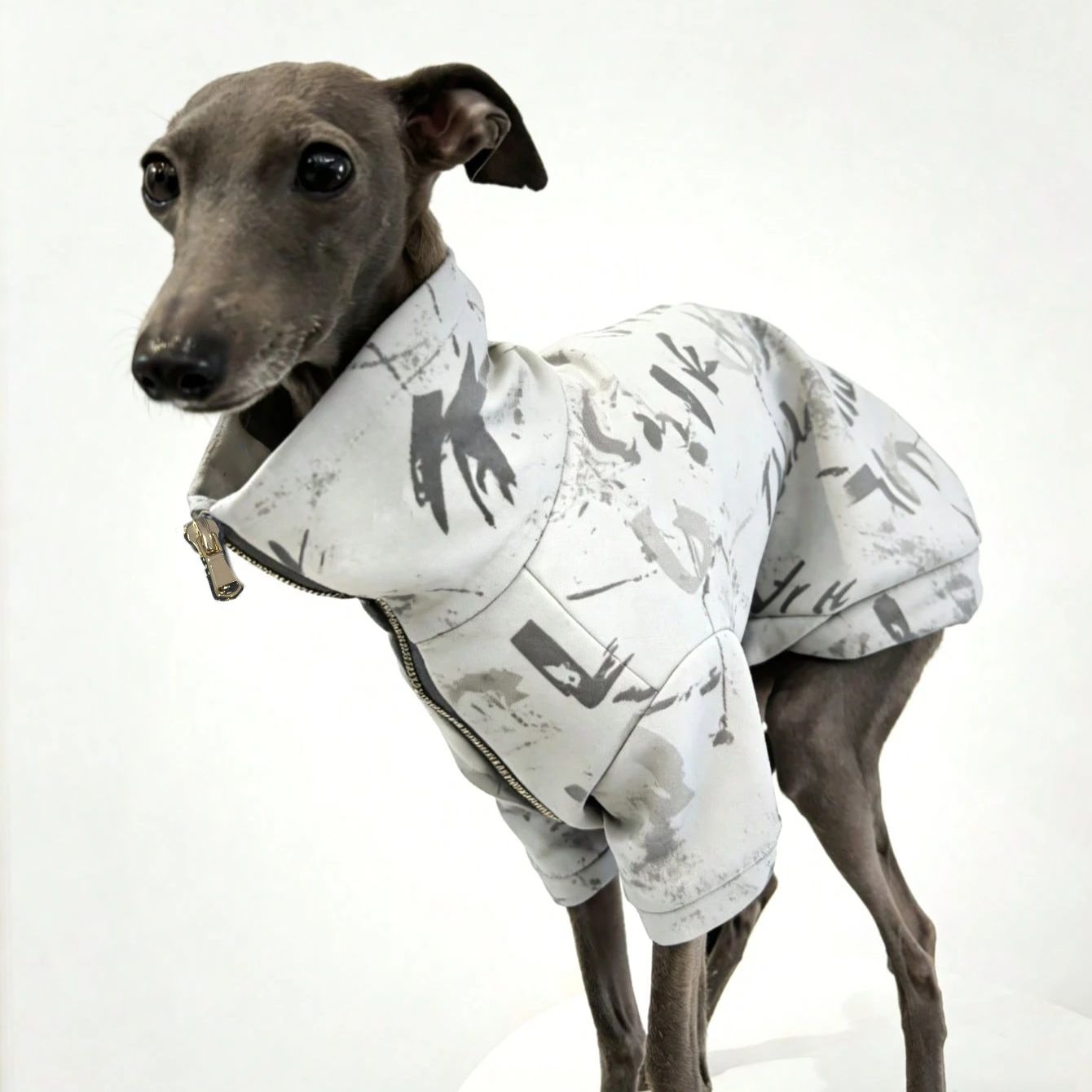 Italian Greyhound and Whippet clothing deep blue print zipper jacket outerwear windproof and warm stylish clothes: L / WHITE