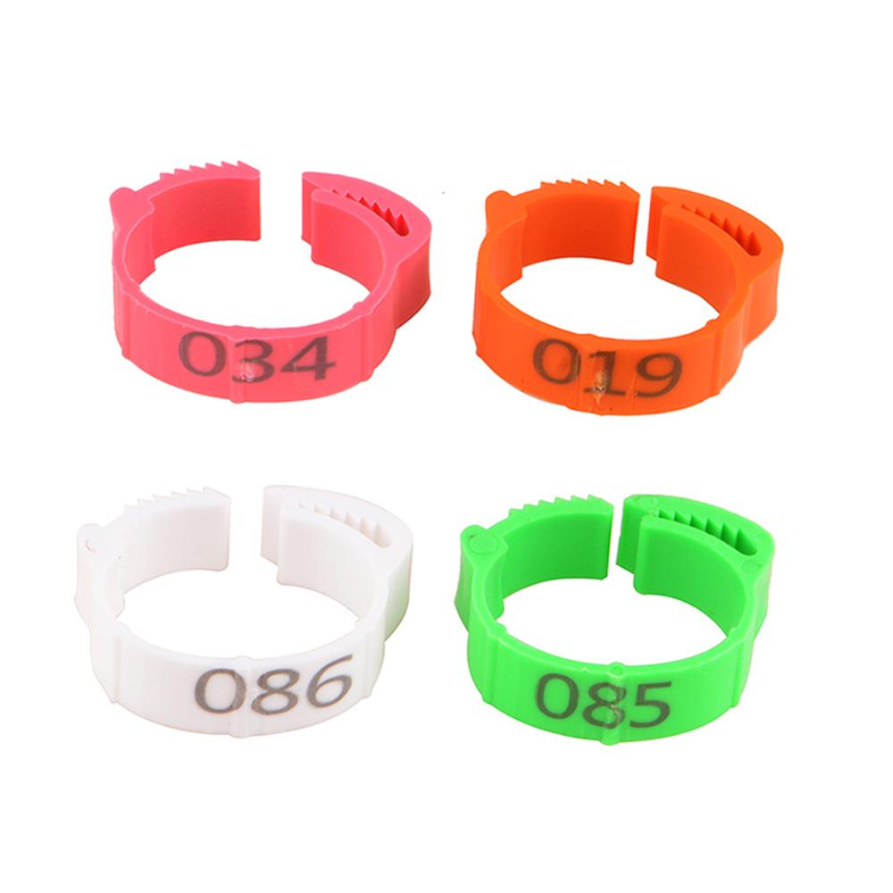 100Pcs/Kleur Verstelbare Kip Voet Ringen Binnendiameter Size 2 ~ 2.4Cm Kip Gevogelte Flexibele Intrekbare Voet ringen 6 Kleuren