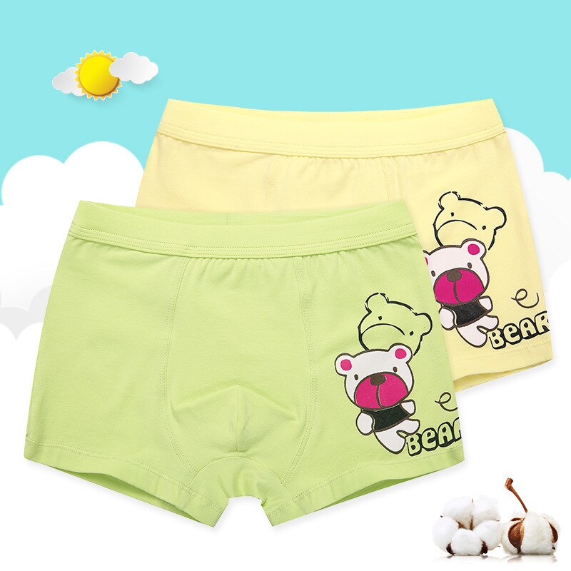 HANQIYAHULI 2 Pcs/lot Cartoon Bear Kids Boy Underwear For Baby Children's Underpants Briefs Boys Underware Pants For 3-14 Y