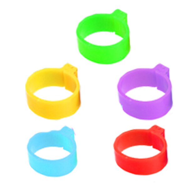 Pata 100 Uds anillos púrpura aves loro anillo para pata mascotas Cockerel Pet suministros Gadget bandas para las piernas pájaro