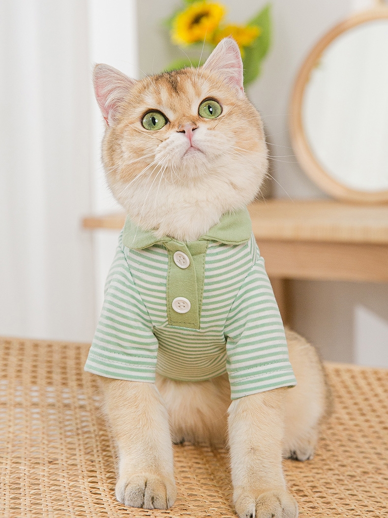 Koszulka dla psa koszulka piżama wiosna lato odzież dla psa płaszcz Doggie Kot szczeniak Yorkshire odzież pomorskie pudel Bichon kostiumy