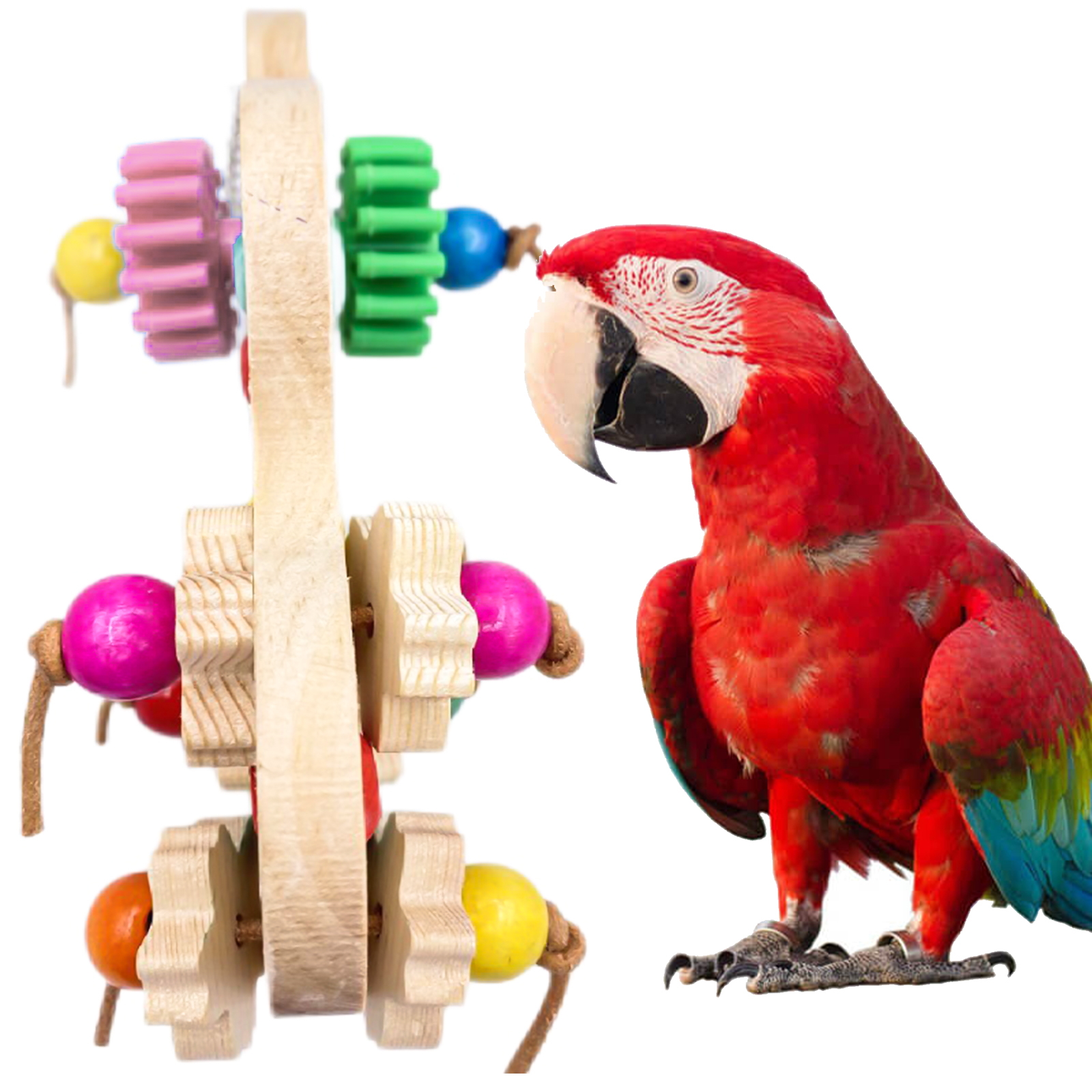 Juguetes educativos para loros grandes, juguetes interactivos de madera coloridos para masticar, productos de entrenamiento, suministros para aves