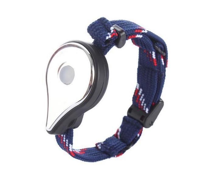 Pulsera de bolsillo con batería GO Plus, accesorio con correa compatible con Bluetooth, capturador automático, figuritas de fantasía recargables, 1 unidad: battery silver