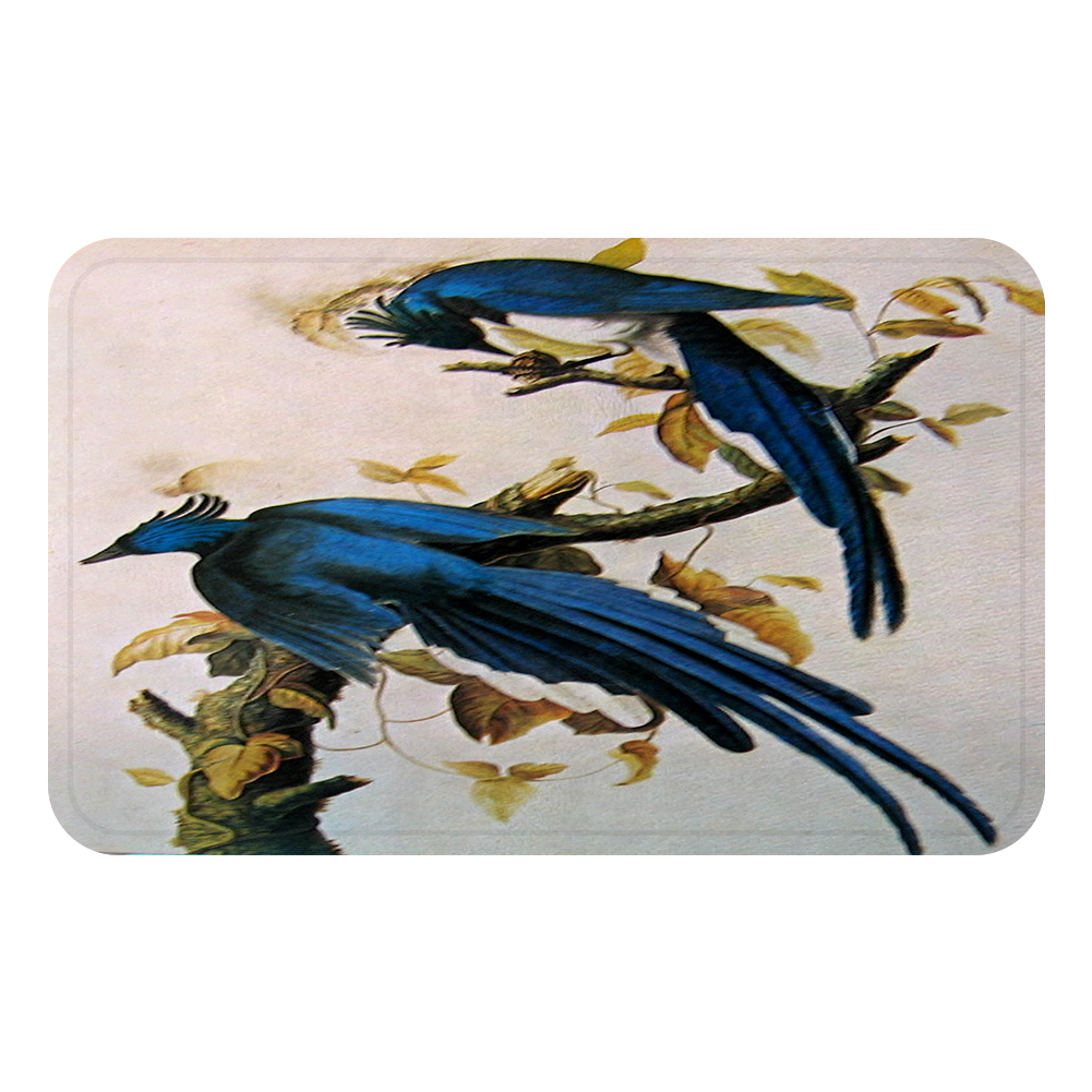 Aigle oiseaux Cool tapis tapis de bain décoratif anti-dérapant tapis chambre voiture sol Bar tapis porte décor à la maison