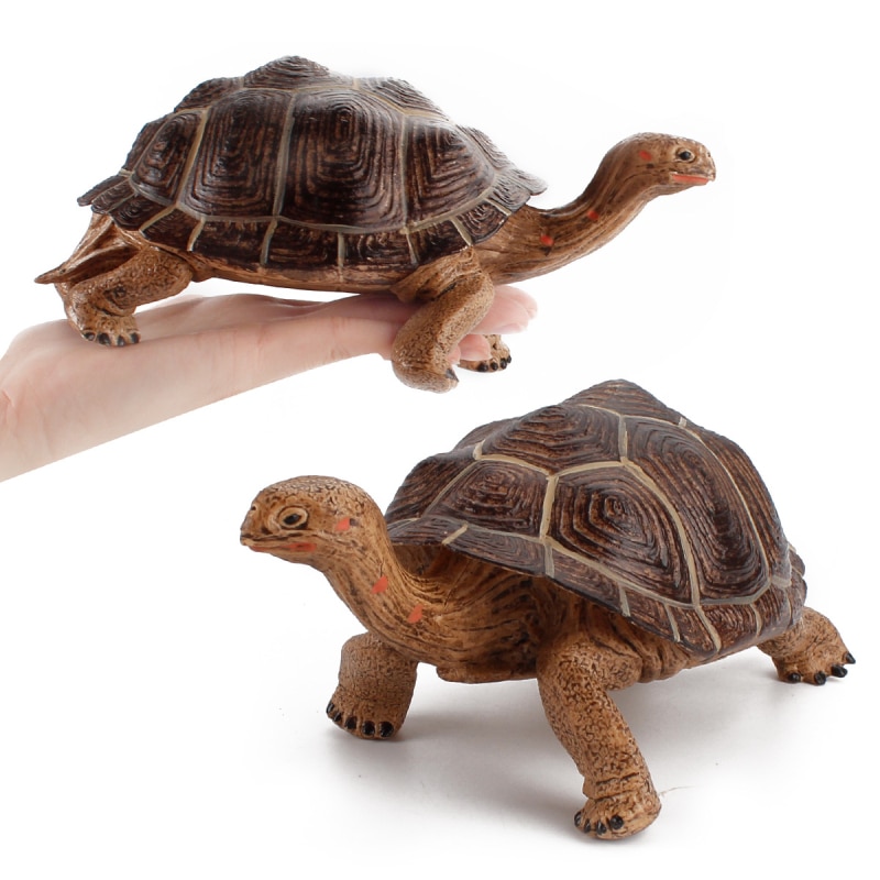 Galapagos Schildpad Model Figuur Dier Speelgoed Desktop Decoratie Collectable Pvc Realistische Schildpad Model