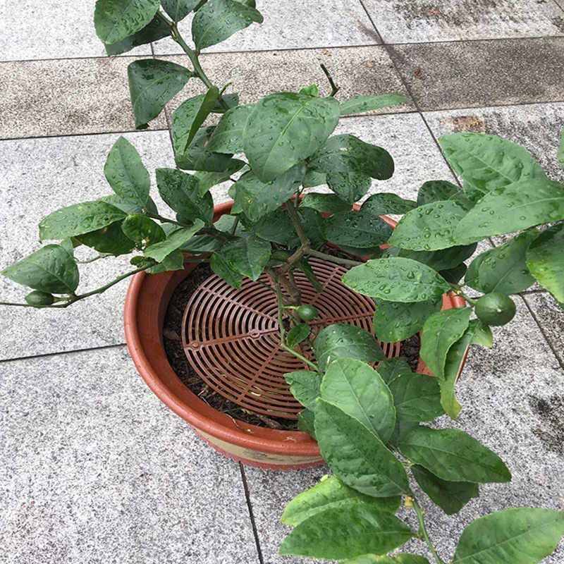 Praktische Blumentopf Netz Abdeckung Blumentopf Boden Schutzschild für Katze Haustier Baby freundlicher Gartenarbeit Zubehör