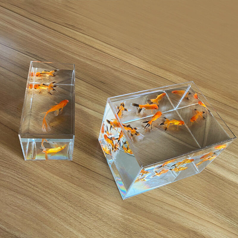 Réservoir de poissons séparé pour petits poissons Betta, Aquarium ouvert en acrylique Transparent pour plantes d&#39;eau, réservoir à tortue