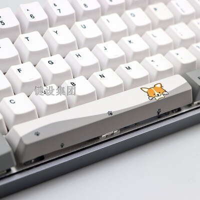 1pc PBT space key cap 6.25X 6.25U spacebar for mx switch mechanical keyboard OEM profile five-sided dye sublimation: kit 1