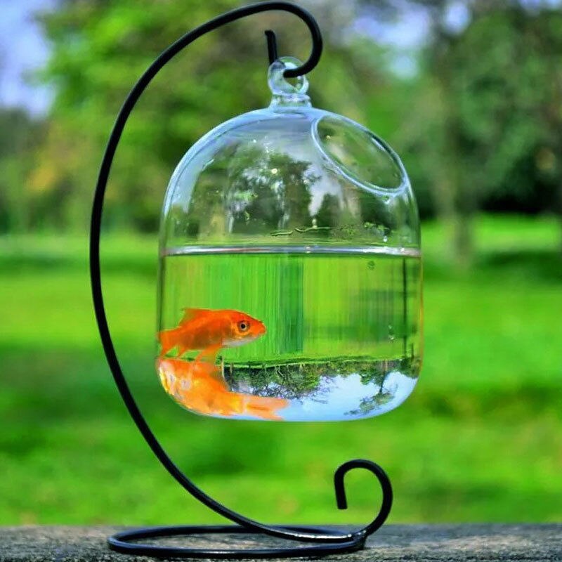 Jarrones colgantes de vidrio transparente, peceras, decoración de acuario hecha a mano