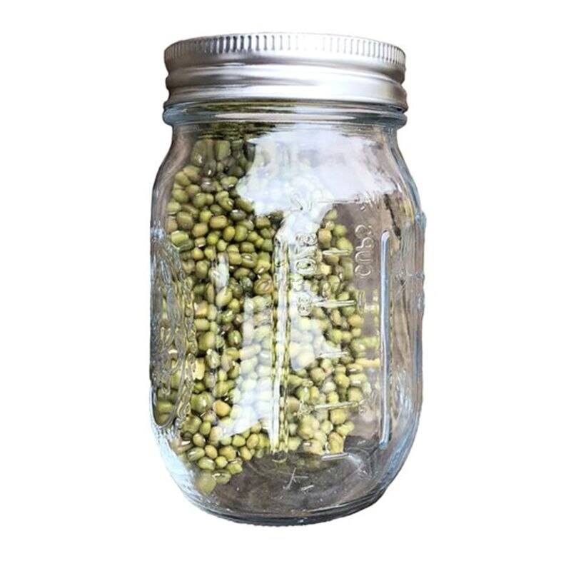Groddburk med 304 skärmlock av rostfritt stål bred mun kvarts mason sprouter groddare för ekologisk alfalfa böna