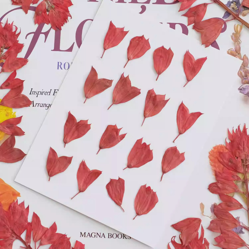 1-2 cm/40 stks, gedroogde tulp bloemknoppen geperste bloemen DIY ambachtelijke benodigdheden voor nail art, hars sieraden, telefoonhoes fotolijst decor