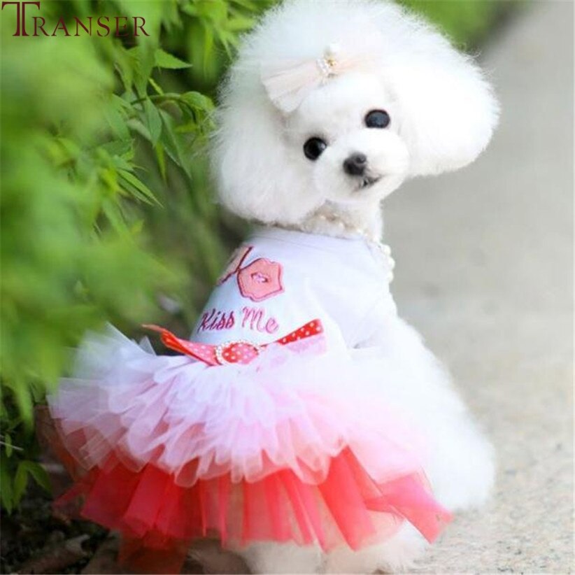 Transer Kus Me Lip Roze Hond Kleding Kant Ruche Hond Prinses Tutu Jurk Mouwloze Puppy Pet Kostuum 81220