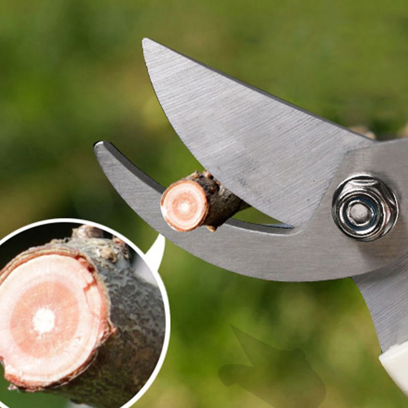 Snoeischaar Boom Cutter Tuinieren Snoeischaar Schaar Rvs Snijden Thuis Gereedschap Anti-Slip