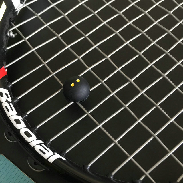 Squash tennis dampener--
