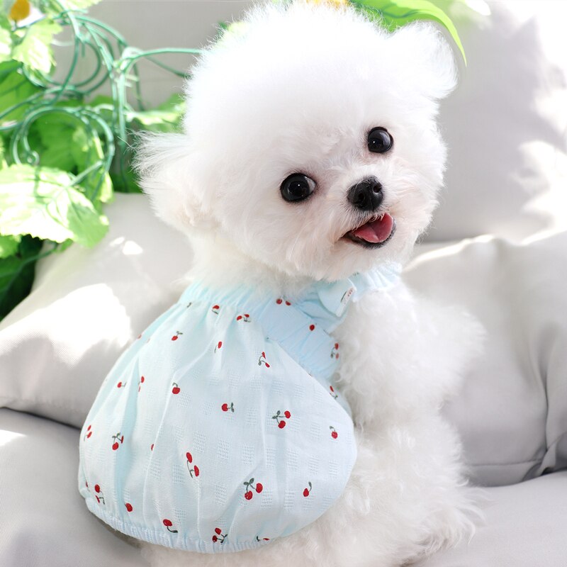 Teddy Rok Lente Zomer Puppy Dog Kleding Voor Pet Puppy Small Medium Honden Jurk Bichon Pommeren Yorkshire Katten Jurken: Blauw / Xl