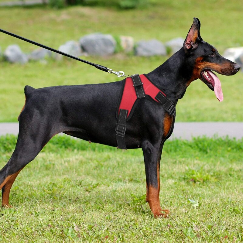 Service dog Vest for walking harness dog collar leash padded pet harness Vest dog clothes for Winter Leopard