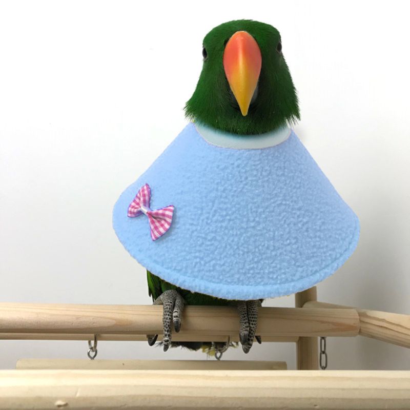 Collar de loro con cuentas protectoras para pájaros, anillo antipluma para recoger, y antiagarre antidesplume, Collar informal para roedores y pájaros