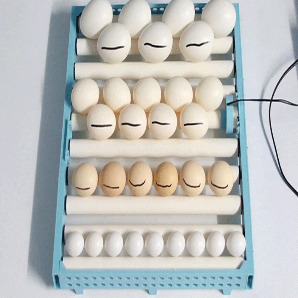 Incubadora automática multifunción con volteador de huevos para aves de corral y aves de corral, Bandeja para Huevos, herramientas de incubación de granja, 360 grados