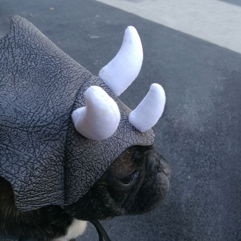 Grappige Hond Kostuum Hoeden Voor Katten Hoed Voor Hond Dinosaurus Triceratops Bulldog Hoed Cap Hond Cap Pet Hoofddeksels Kostuum Hond hoed