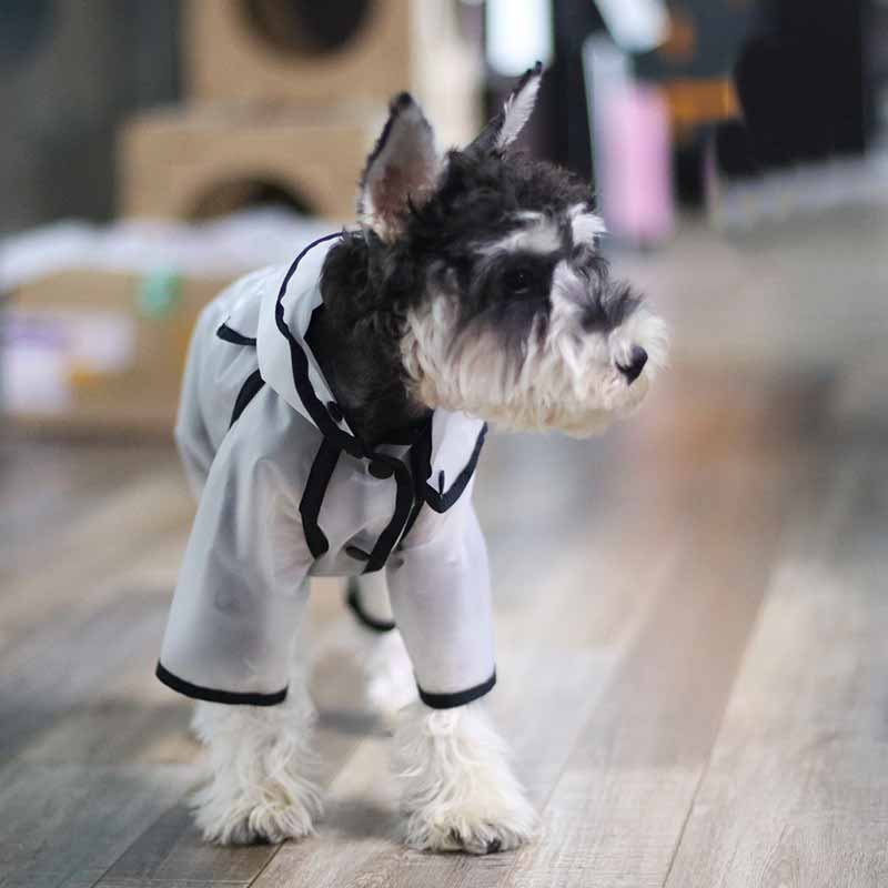 Vandtæt jumpsuit hund regnfrakke med hætte kæledyr hund hvalp regnfrakke kappe kostumer tøj til små hunde kæledyrsforsyning 10a