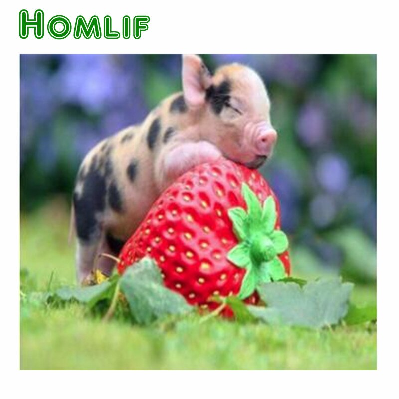 5d custom diamond painting kits diamond painting eigen foto Strawberry Dream pig full square stitch Diamond embroidery mosaic