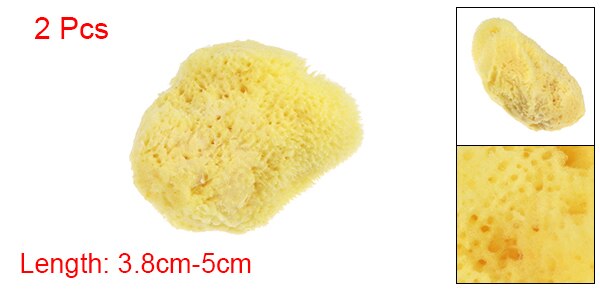 Uxcell Knockdown Texture Sea Sponge 1.5" - 2" Painting Supplies Drywall Patch Wall Ceiling Texturing 2Pcs: Default Title