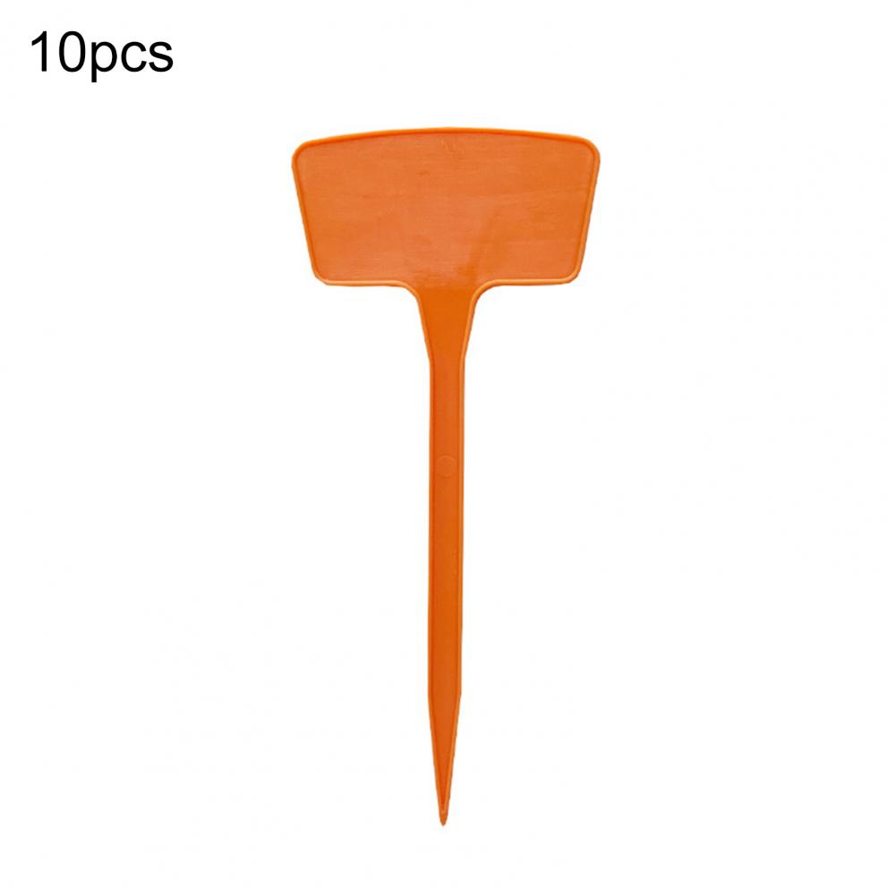 10 sztuk/zestaw 20cm etykiety na rośliny wodoodporna konstrukcja wkładki w kształcie litery T plastikowe znaczniki na rośliny klasyfikacja znak sortowania bilet robić ogrodnictwa: FIOLETOWY