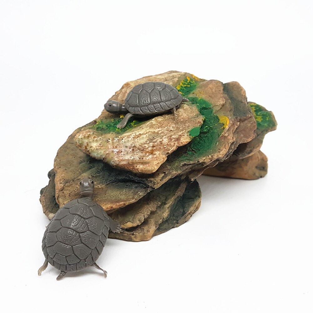 Schildpad Reptiel Eiland Dock Koesteren Platform Aquarium Aquarium Simulatie Rock