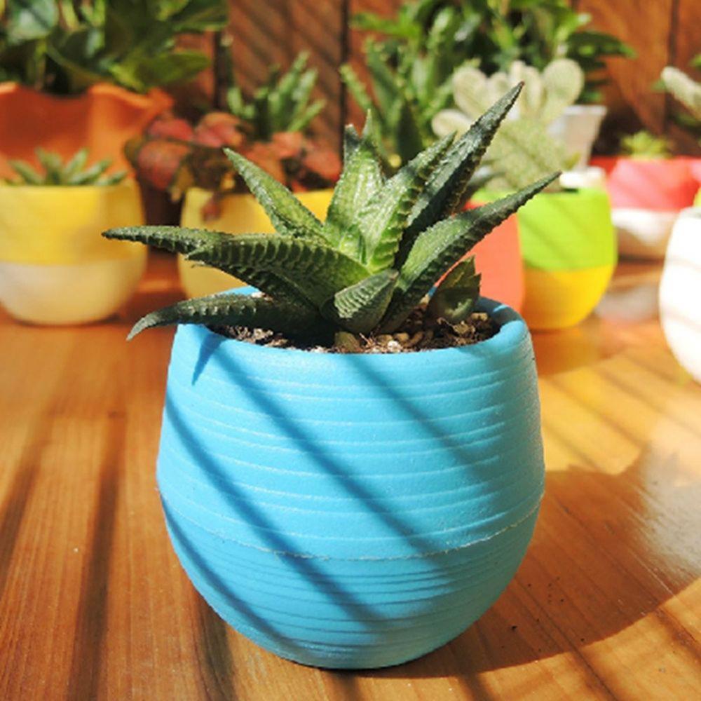 Vaso suculento com 2 camadas, mini vaso de flores, mesa, planta verde, vaso de berçário, decoração de jardim doméstico, plantadores
